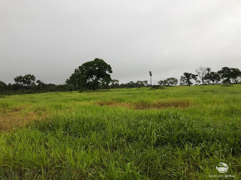 Fazenda à venda com 5 quartos, 36000000m² - Foto 11