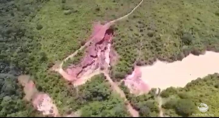 Fazenda à venda com 1 quarto, 210000000m² - Foto 3