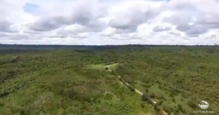 Fazenda à venda com 1 quarto, 210000000m² - Foto 9