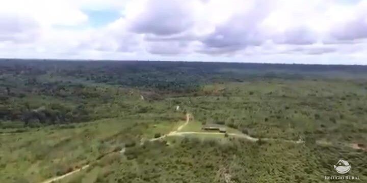 Fazenda à venda com 1 quarto, 210000000m² - Foto 11