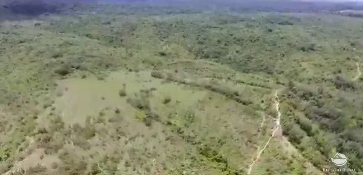 Fazenda à venda com 1 quarto, 210000000m² - Foto 5