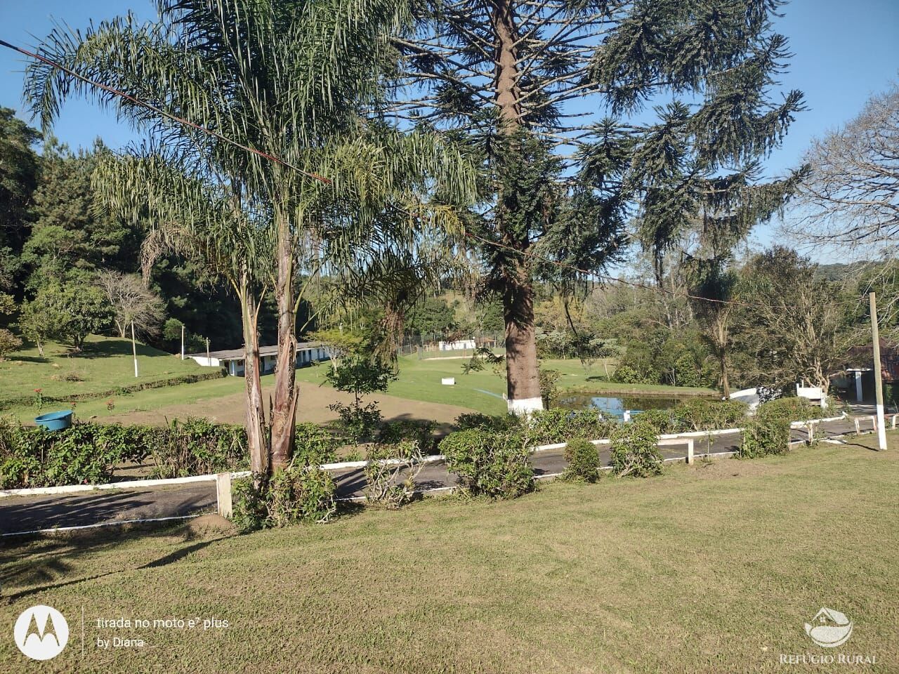 Sítio à venda com 12 quartos, 45500m² - Foto 17