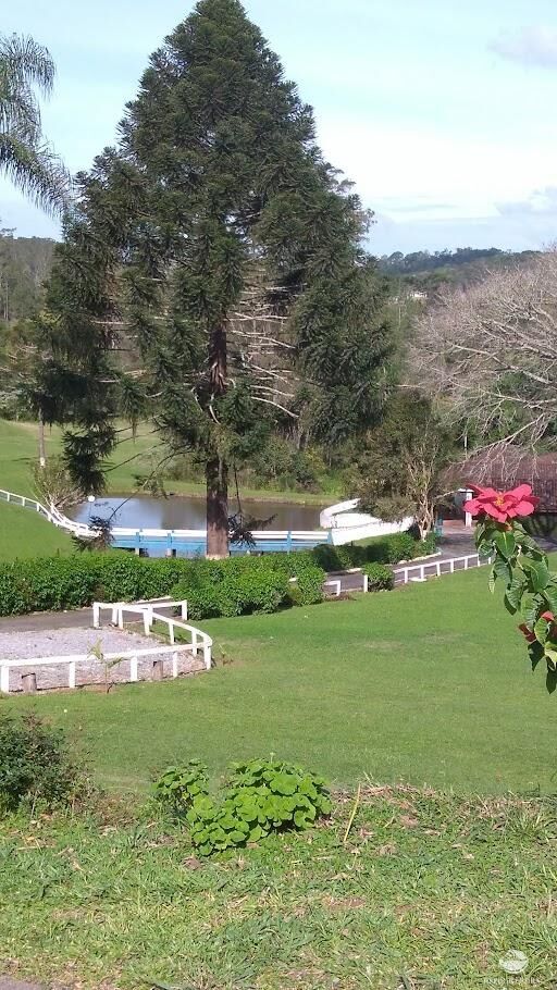 Sítio à venda com 12 quartos, 45500m² - Foto 16