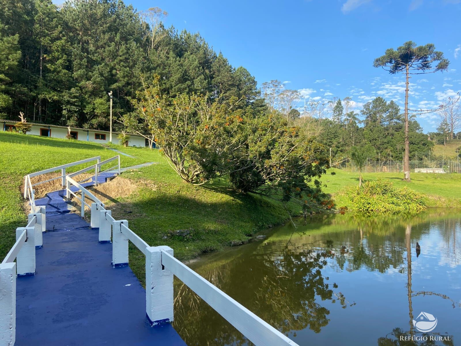 Sítio à venda com 12 quartos, 45500m² - Foto 15