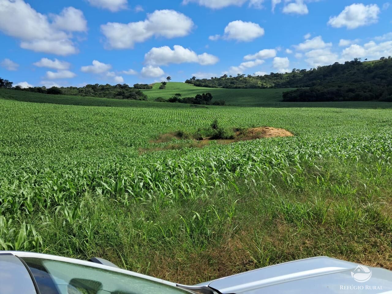 Fazenda, 700 hectares - Foto 7