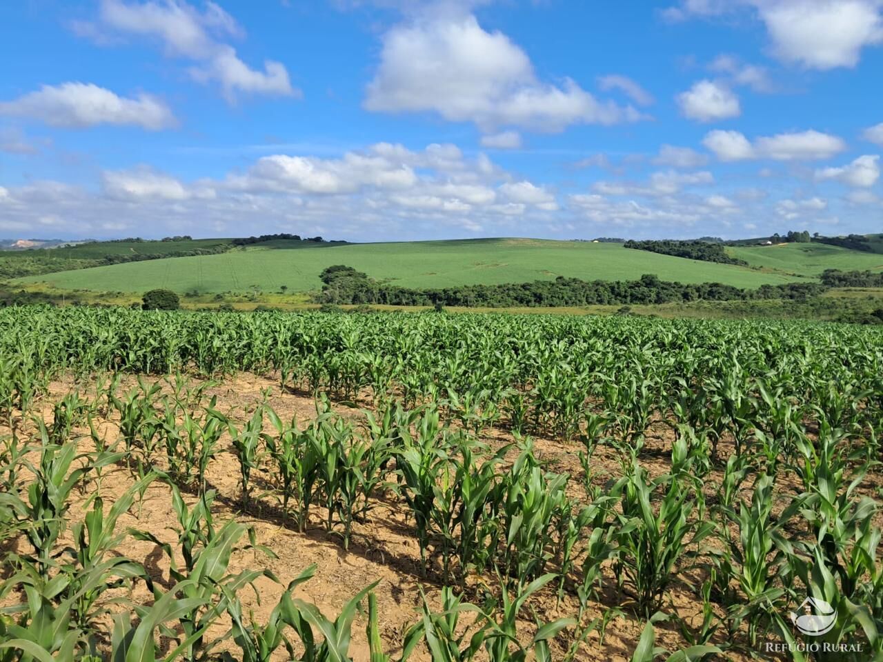 Fazenda, 700 hectares - Foto 9