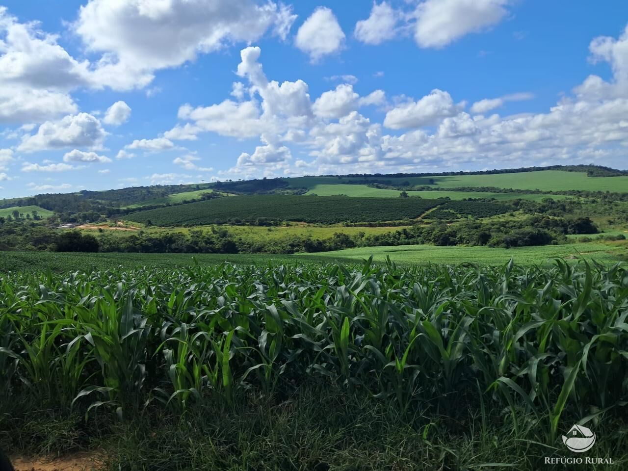 Fazenda, 700 hectares - Foto 1