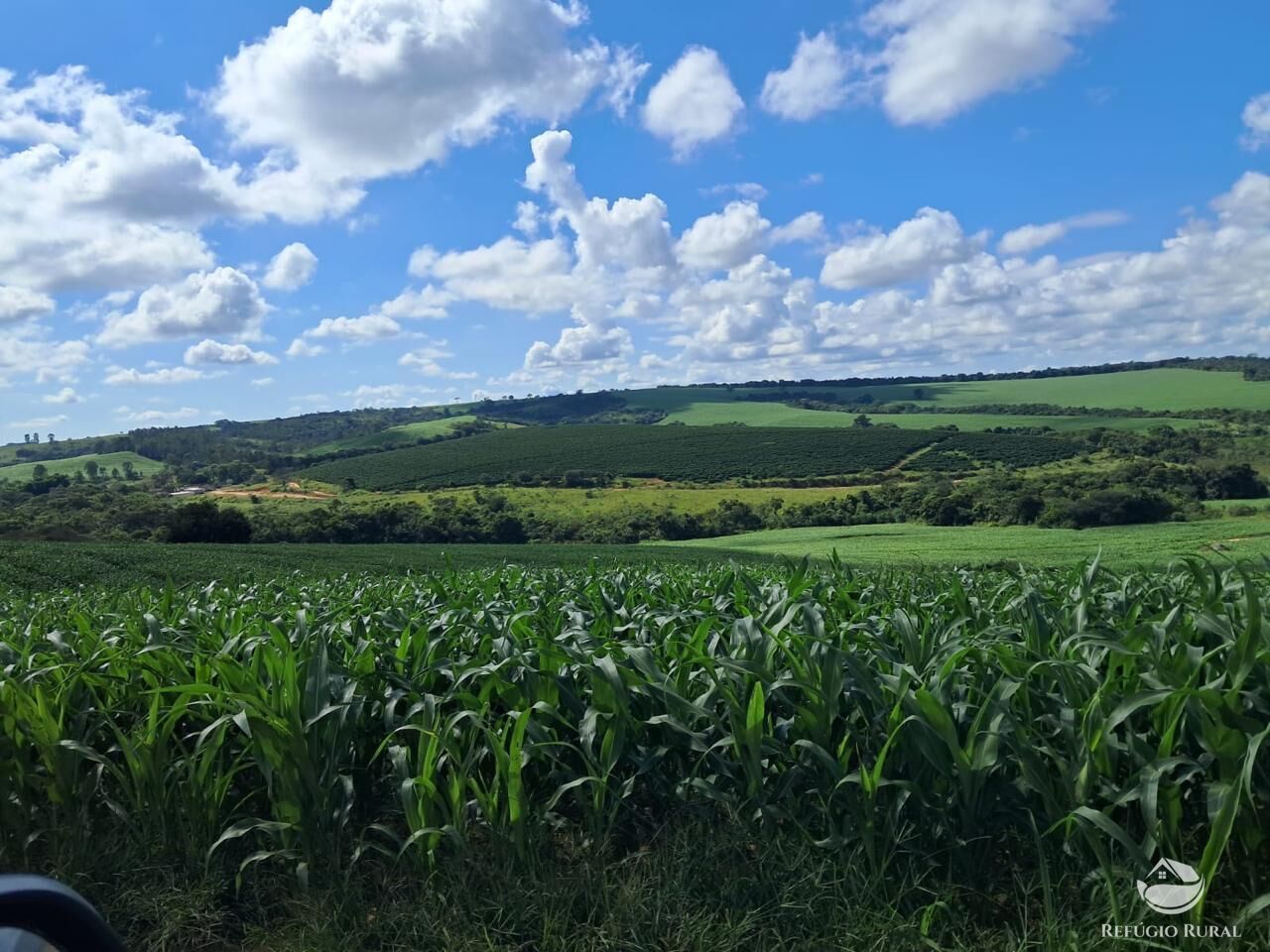 Fazenda, 700 hectares - Foto 6