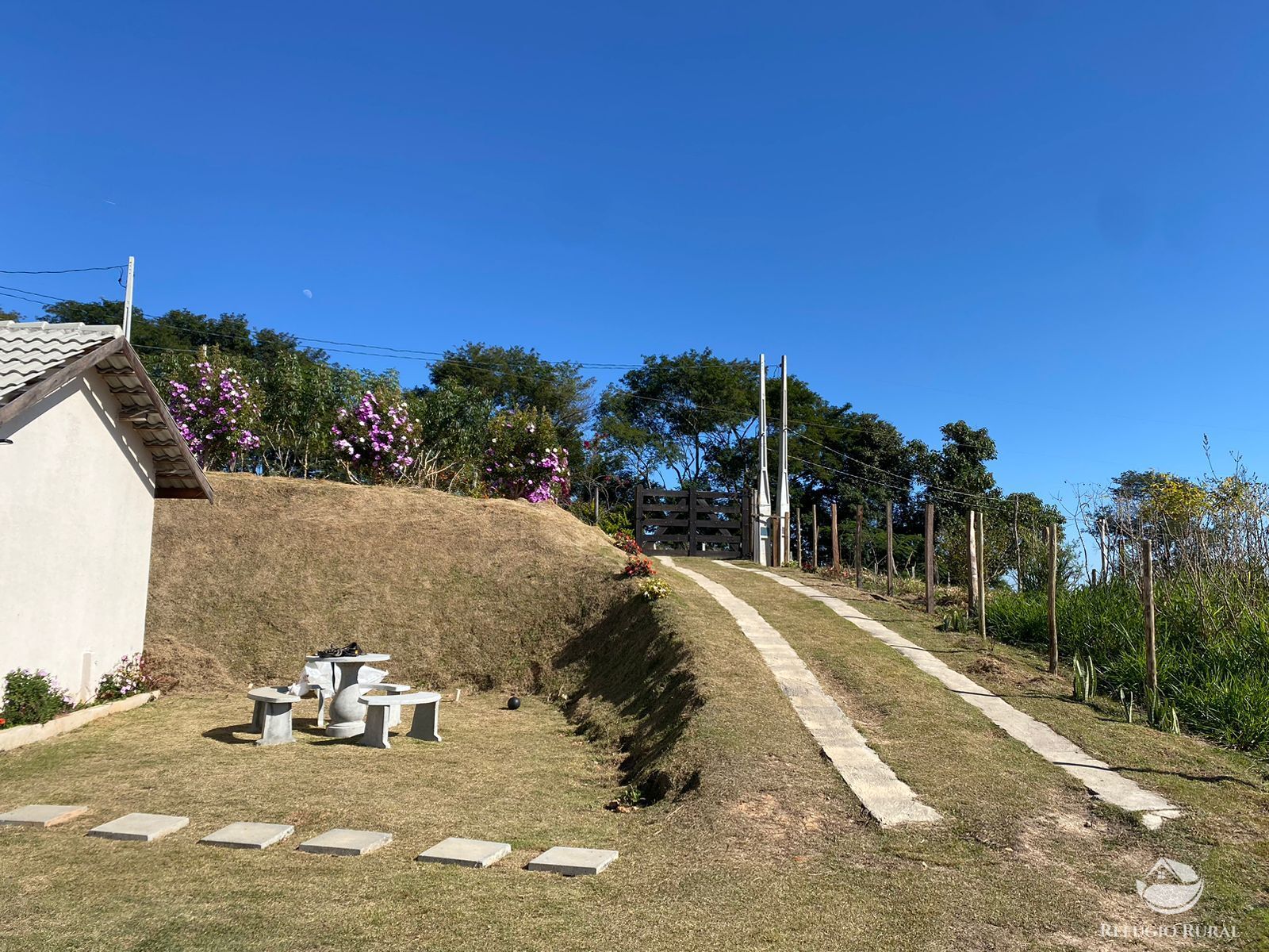 Fazenda à venda com 3 quartos, 24200m² - Foto 17