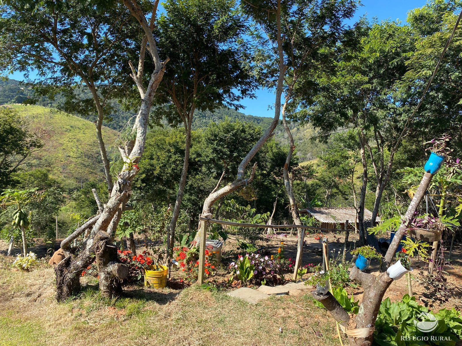 Fazenda à venda com 3 quartos, 24200m² - Foto 6