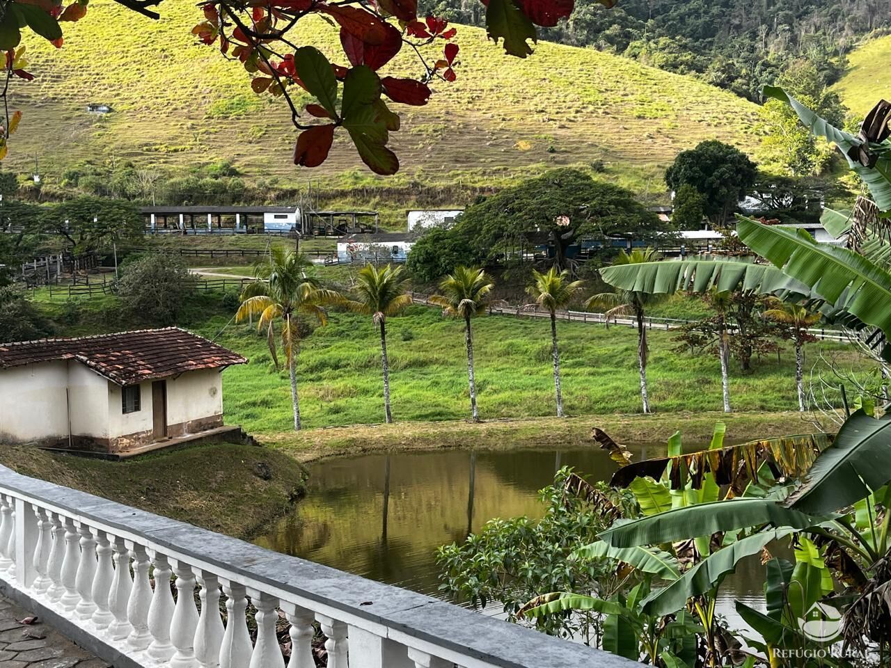Fazenda à venda com 12 quartos, 11858000m² - Foto 2