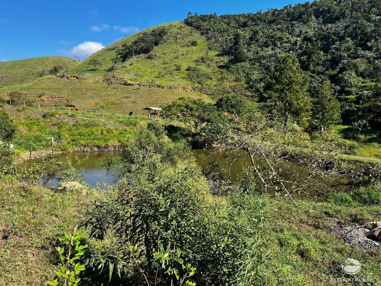 Fazenda à venda com 12 quartos, 11858000m² - Foto 4