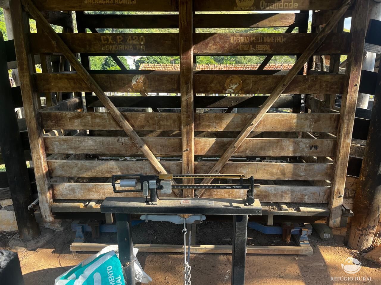Fazenda à venda com 12 quartos, 11858000m² - Foto 26