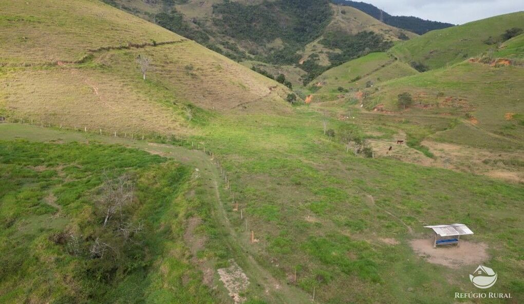 Fazenda à venda com 12 quartos, 11858000m² - Foto 5