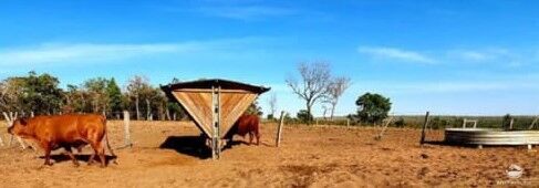 Fazenda à venda com 3 quartos, 31500000m² - Foto 1