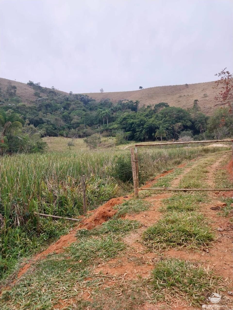 Terreno, 11 hectares - Foto 22