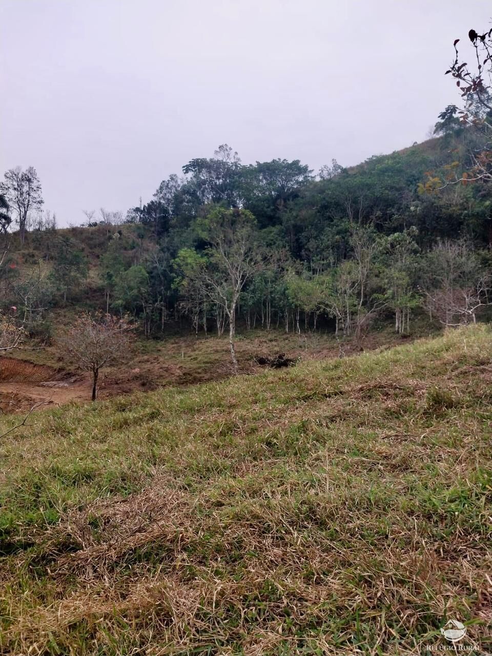 Terreno, 11 hectares - Foto 11