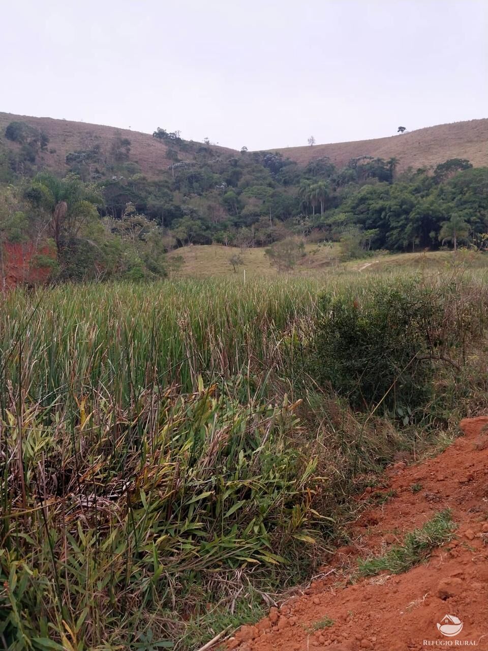 Terreno, 11 hectares - Foto 27