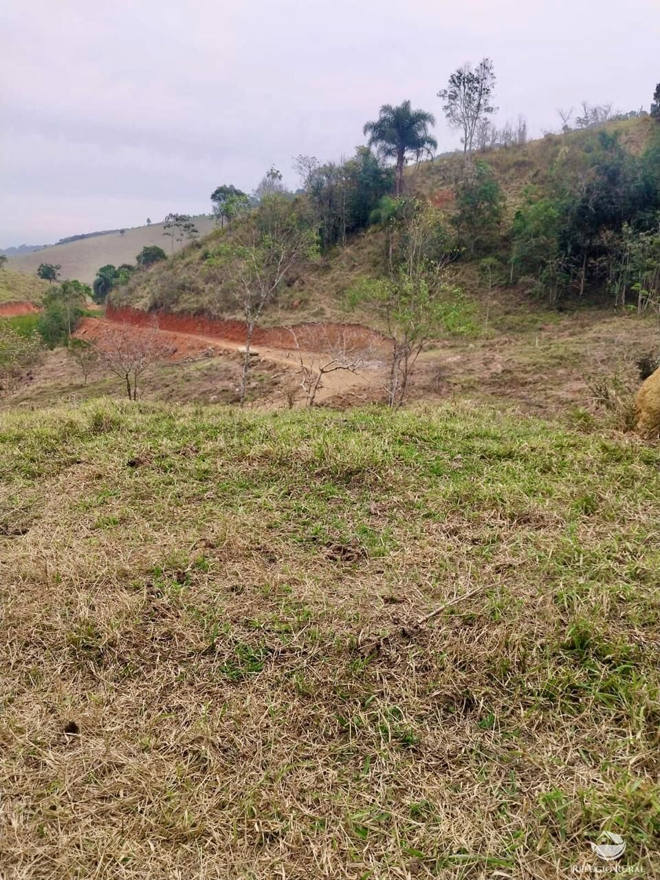 Terreno, 11 hectares - Foto 15