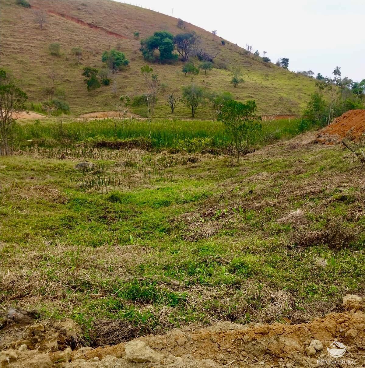 Terreno, 11 hectares - Foto 7