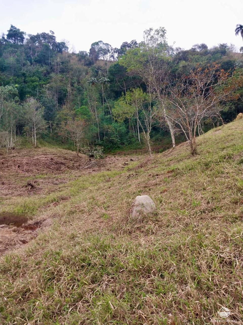 Terreno, 11 hectares - Foto 13