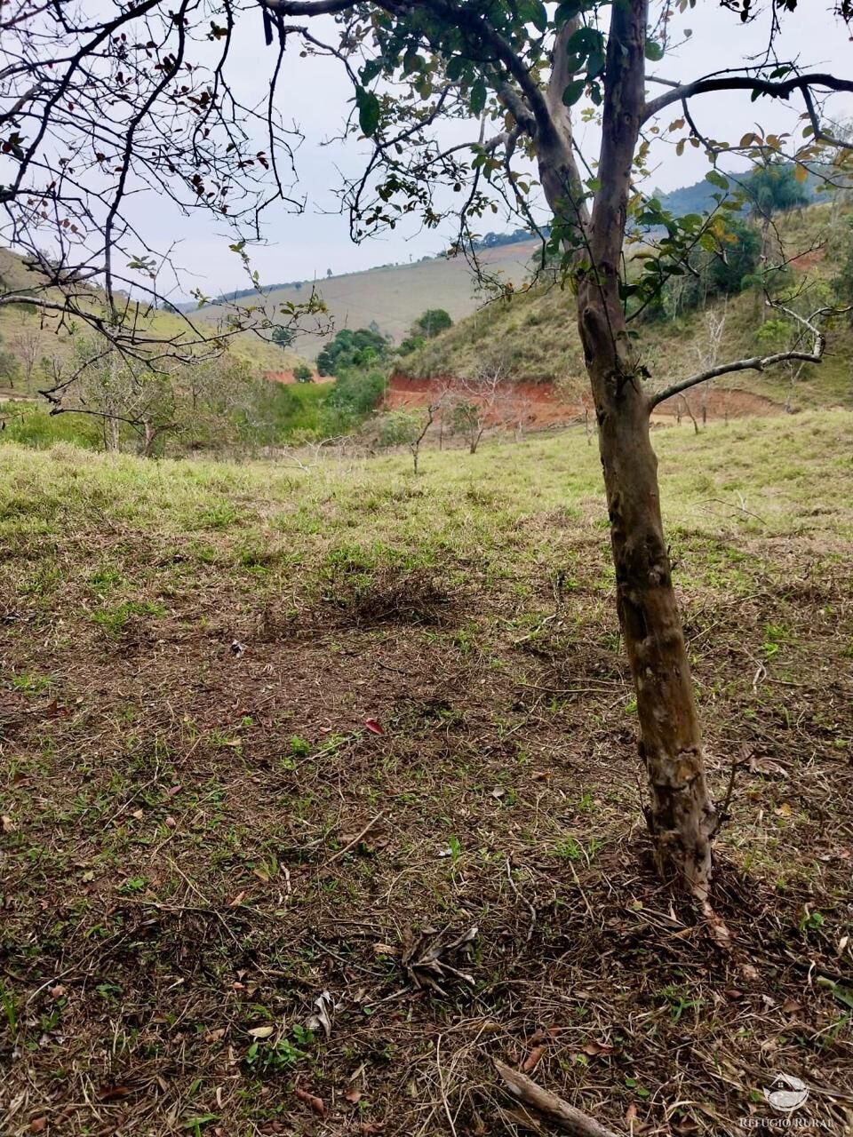 Terreno, 11 hectares - Foto 19