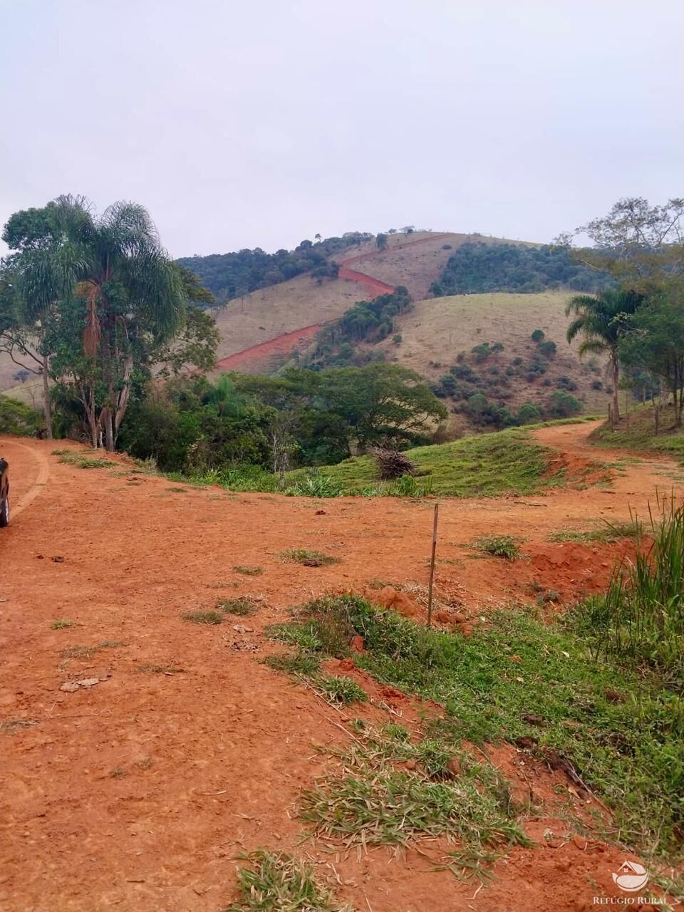 Terreno, 11 hectares - Foto 3