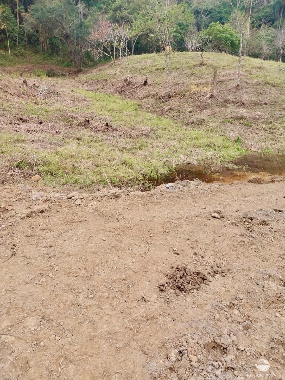 Terreno, 11 hectares - Foto 8