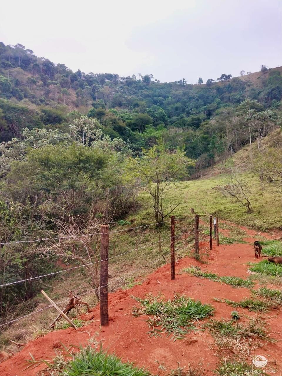 Terreno, 11 hectares - Foto 25