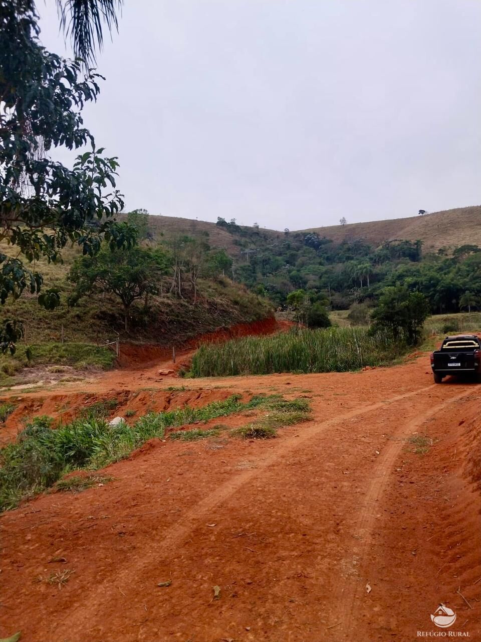 Terreno, 11 hectares - Foto 1