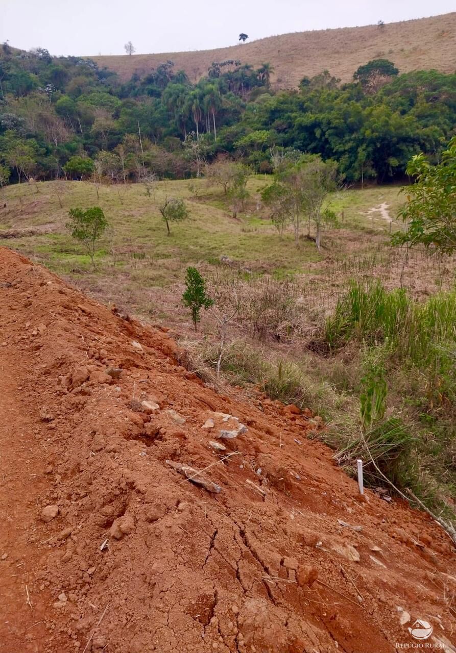 Terreno, 11 hectares - Foto 5
