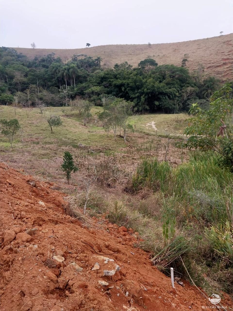 Terreno, 11 hectares - Foto 6