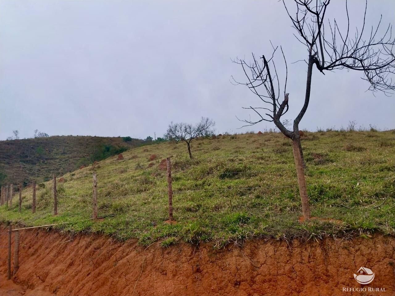 Terreno, 11 hectares - Foto 24