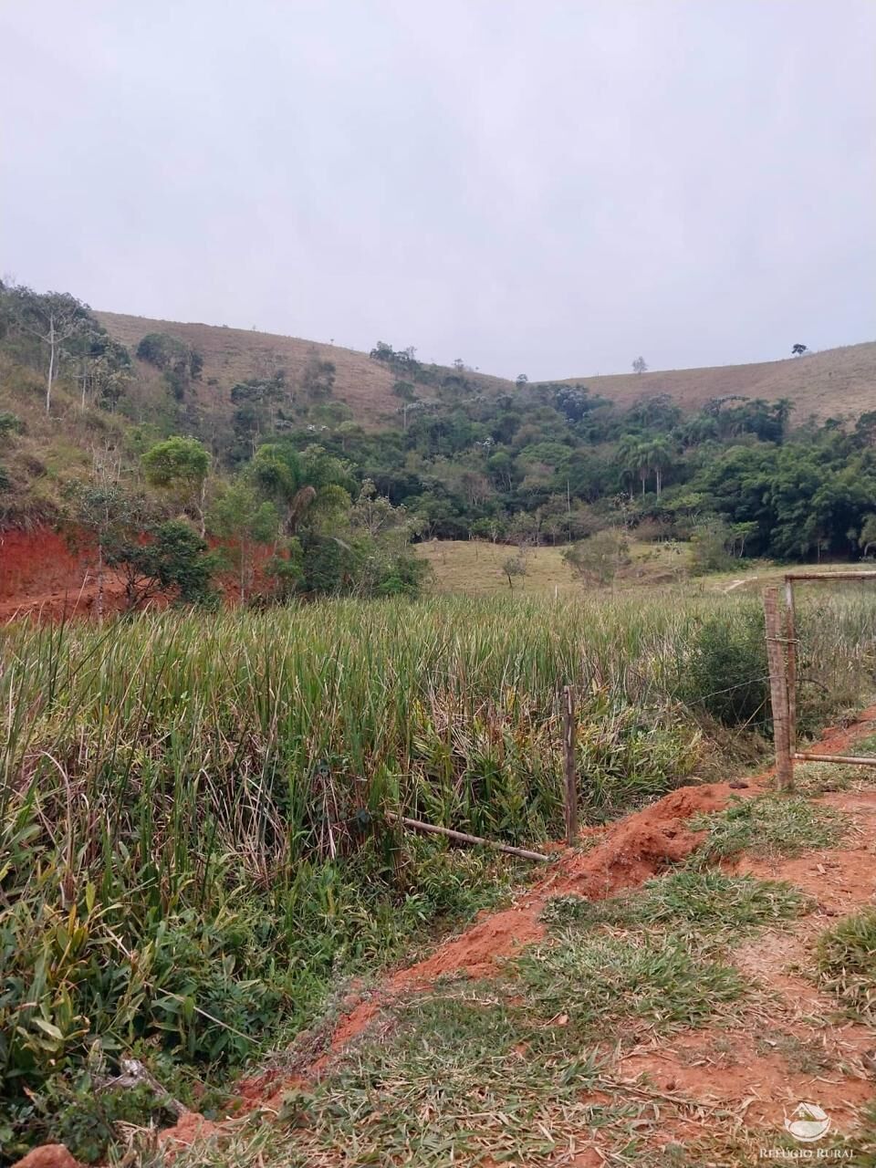 Terreno, 11 hectares - Foto 23