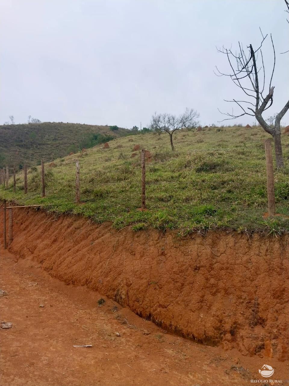 Terreno, 11 hectares - Foto 21