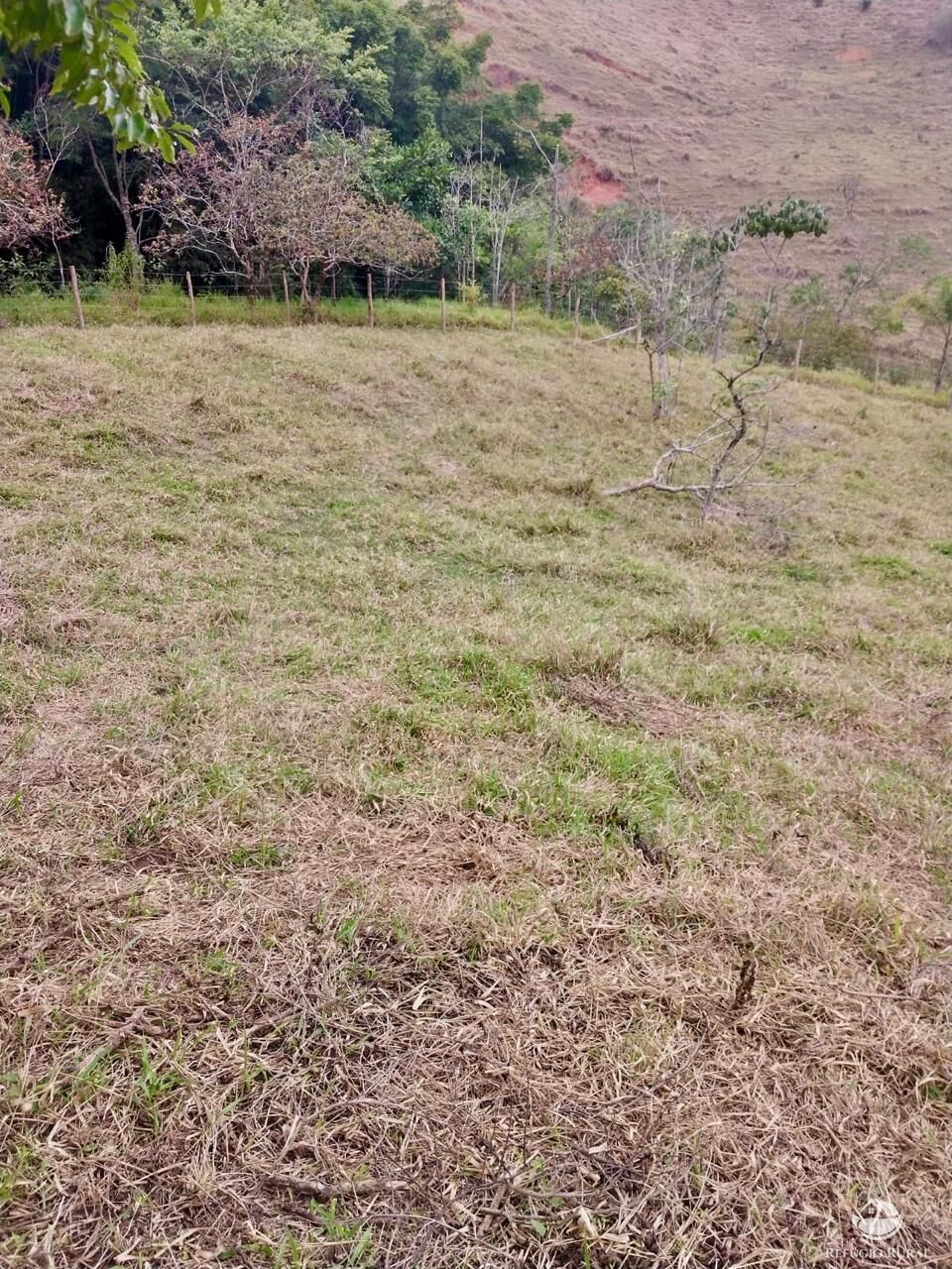 Terreno, 11 hectares - Foto 16