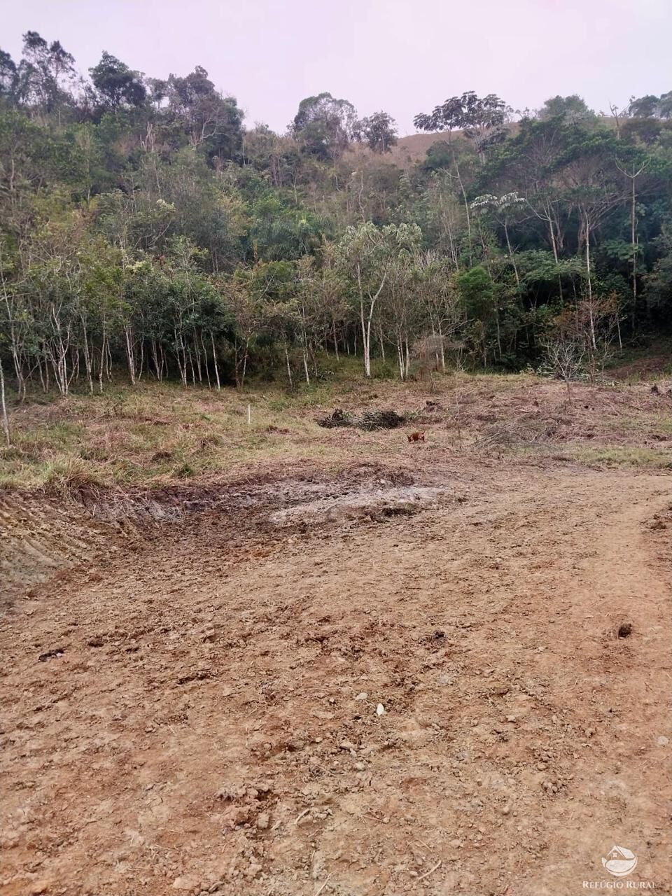 Terreno, 11 hectares - Foto 9