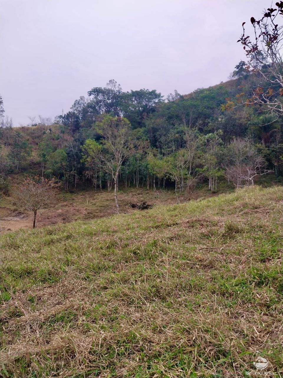 Terreno, 11 hectares - Foto 28