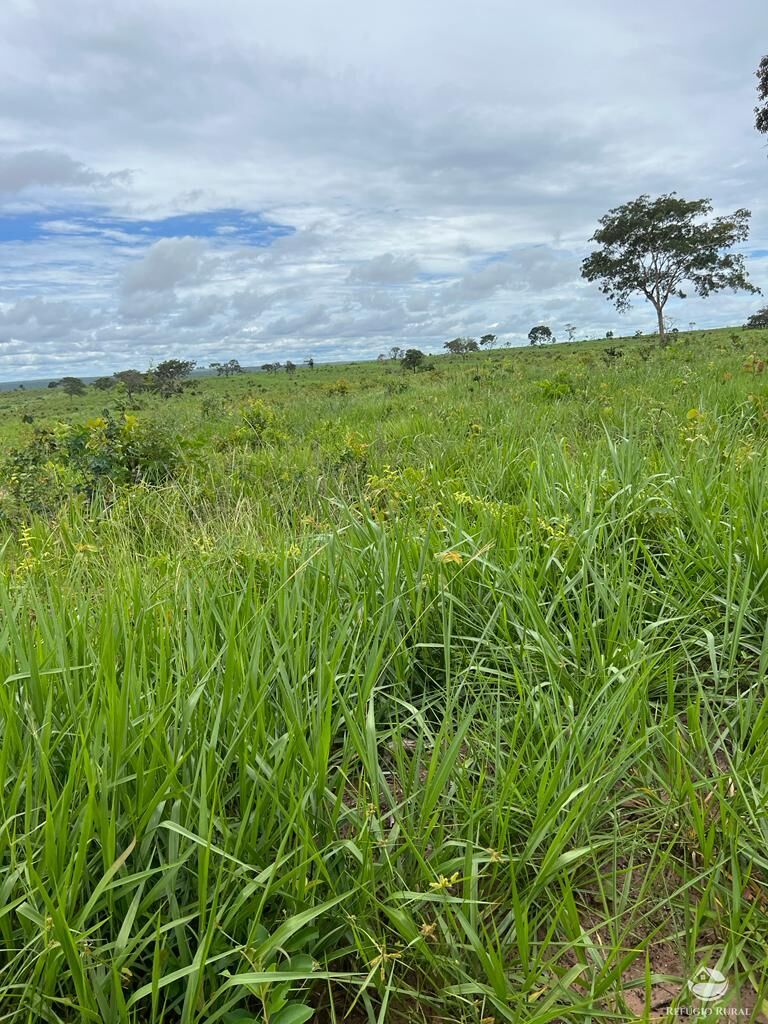 Fazenda à venda com 3 quartos, 31510000m² - Foto 4