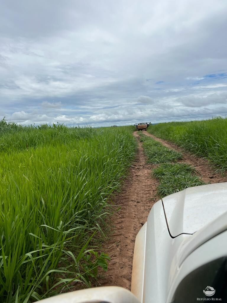 Fazenda à venda com 3 quartos, 31510000m² - Foto 8