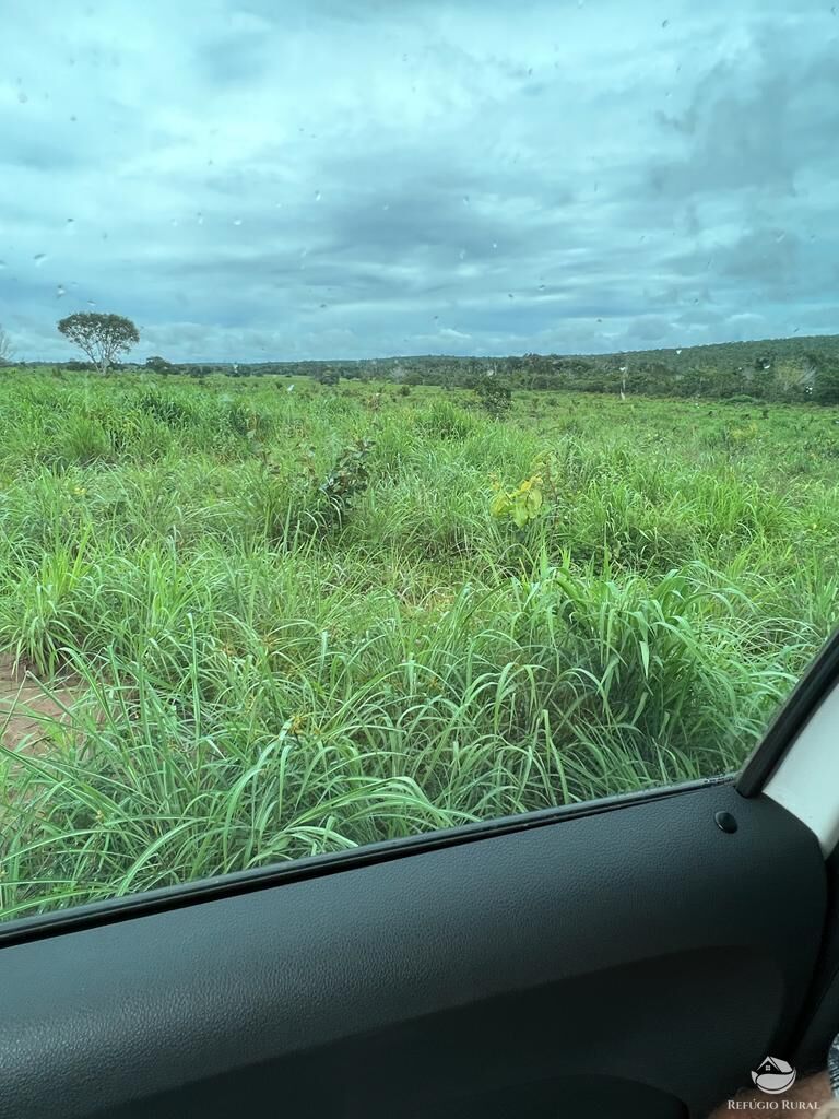 Fazenda à venda com 3 quartos, 31510000m² - Foto 5