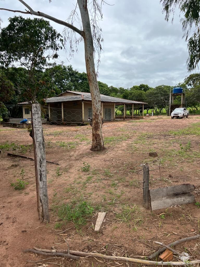 Fazenda à venda com 3 quartos, 31510000m² - Foto 6