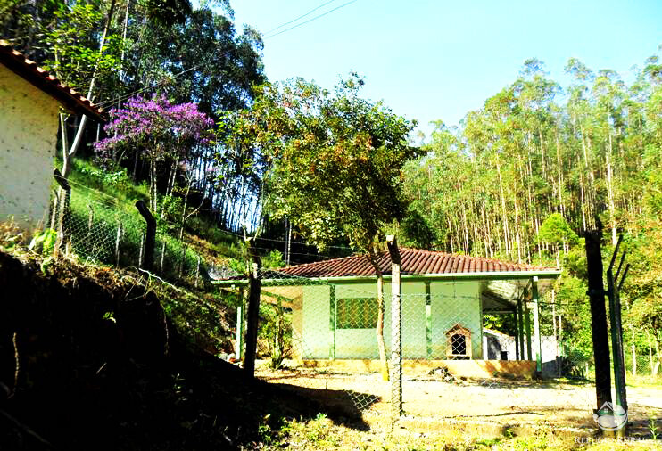 Fazenda à venda com 2 quartos, 883300m² - Foto 28