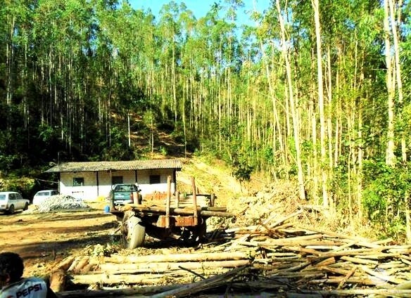 Fazenda à venda com 2 quartos, 883300m² - Foto 38