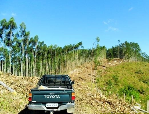 Fazenda à venda com 2 quartos, 883300m² - Foto 35