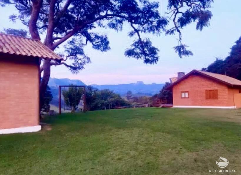 Sítio à venda com 3 quartos, 22000m² - Foto 11