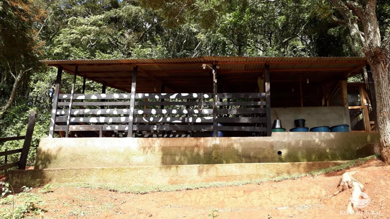 Sítio à venda com 3 quartos, 22000m² - Foto 39