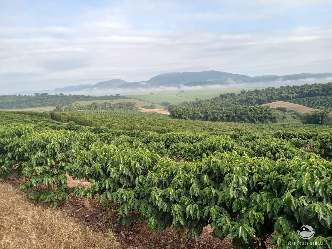 Fazenda, 99 hectares - Foto 2