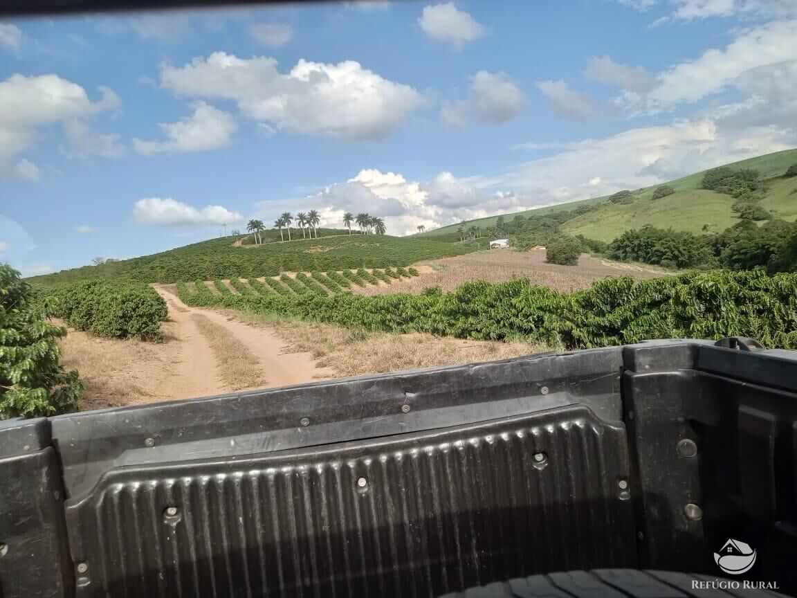 Fazenda, 99 hectares - Foto 9