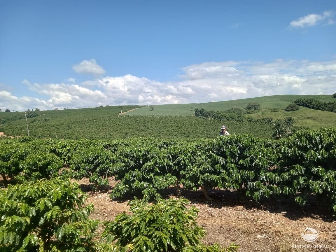 Fazenda, 99 hectares - Foto 3